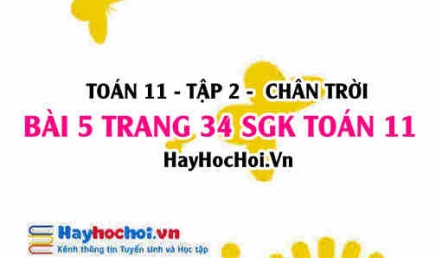 Bài 5 trang 34 Toán 11 tập 2 Chân trời sáng tạo